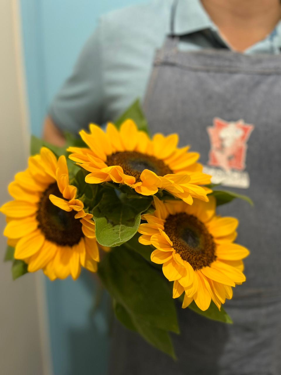 Girassóis alegres nas mãos do florista