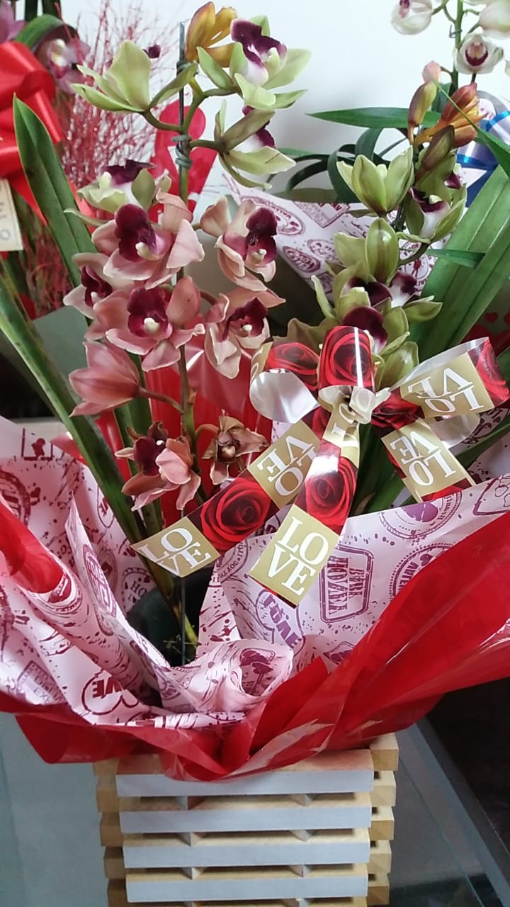 Orquídea da Rosa e Cia em vaso para presente